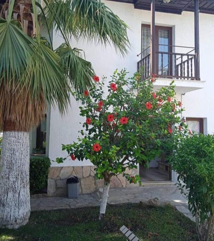 Nehir Dalyan Boutique Otel Ortaca  Dış mekan fotoğraf
