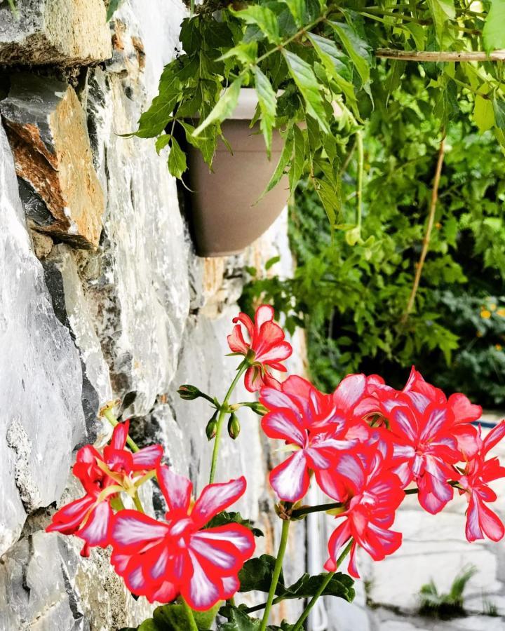 Nehir Dalyan Boutique Otel Ortaca  Dış mekan fotoğraf